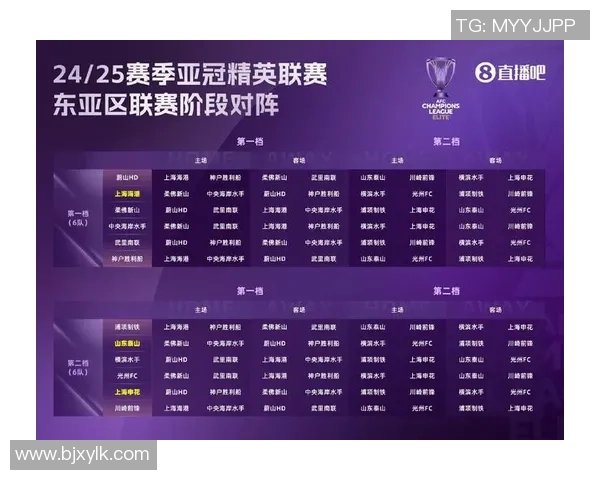 哈马比对决分析及赛季表现展望，揭示球队未来发展潜力与挑战